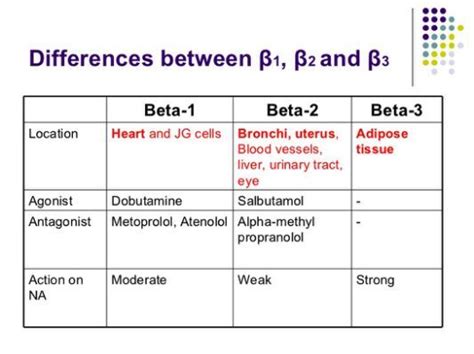 beta 1 vs beta 2 receptors|Difference Between Beta 1 and Beta 2 .